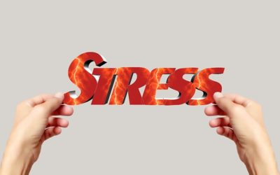 Wie man in Stresssituationen in Zeiten der COVID-19-Pandemie zurechtkommt”- Online Seminar