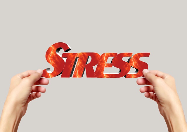 Wie man in Stresssituationen in Zeiten der COVID-19-Pandemie zurechtkommt”- Online Seminar
