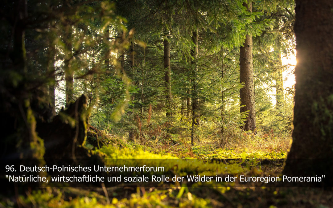 Bericht zum 96.Deutsch-Polnische Unternehmerforum mit dem Titel: „„Natürliche, wirtschaftliche und soziale Rolle der Wälder in der Euroregion Pomerania“ vom 07.12.2021