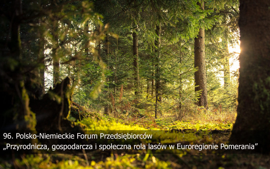 Zaproszenie do udziału online w Polsko-Niemieckim Forum Przedsiębiorców pn. „Ekologiczna, gospodarcza i społeczna rola lasów w Euroregionie Pomerania”